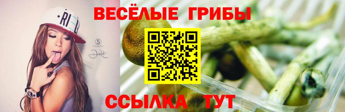 Галлюциногенные грибы прущие грибы  Галлюциногенные грибы Cubensis  Вход с VPN  Красноуфимск 